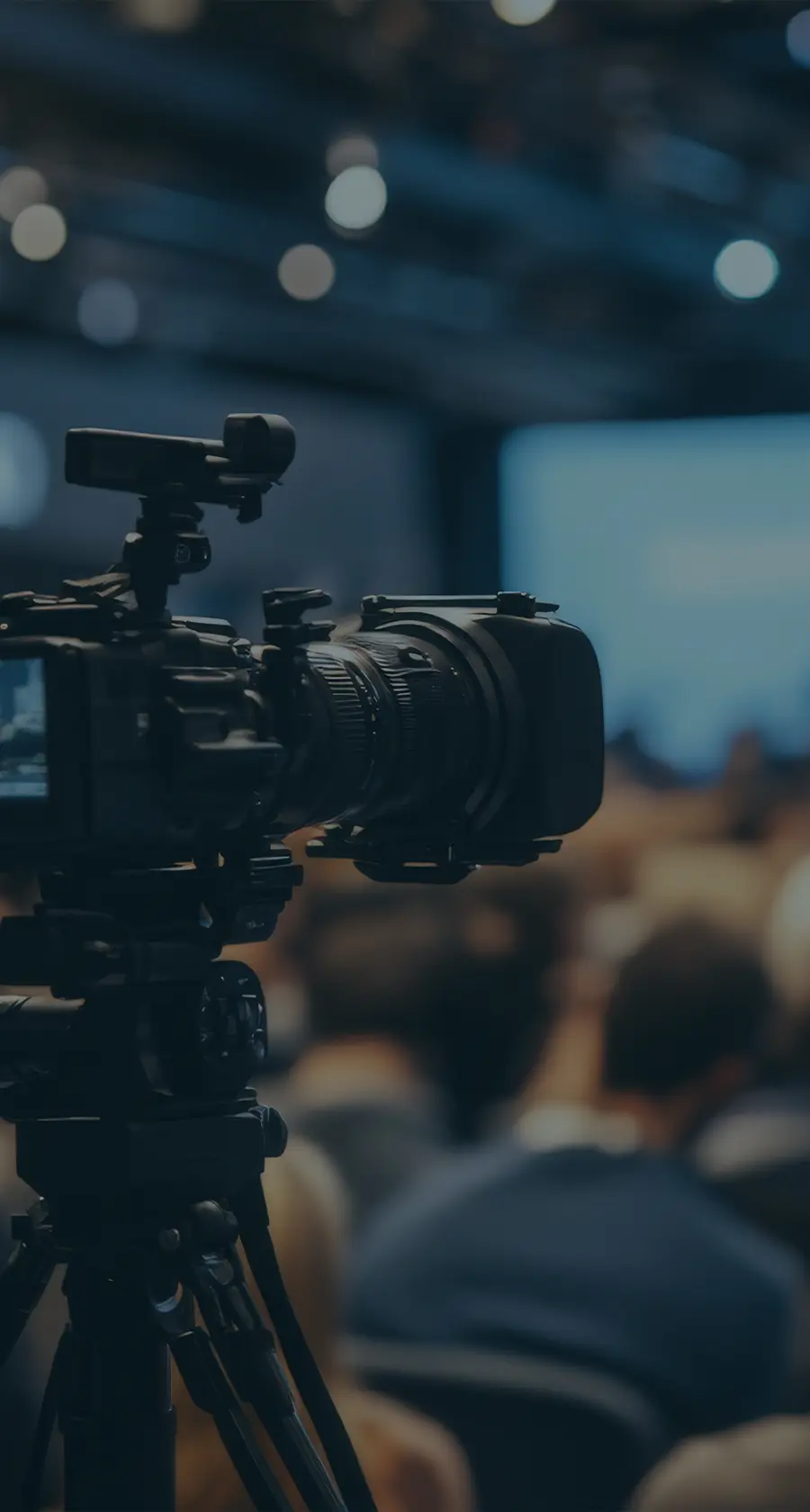 Key themes shaping this ASX reporting season