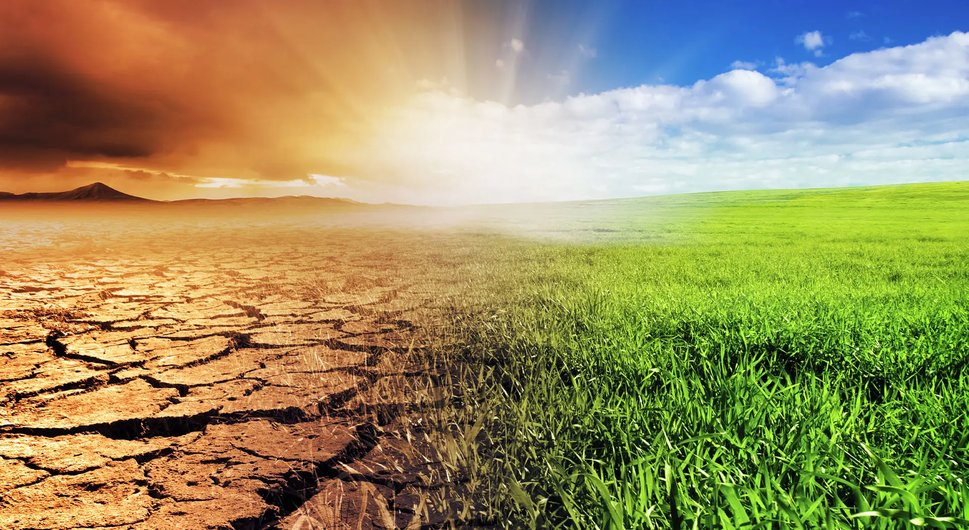 Beyond the Headlines: Essential Insights from Climate Week NYC 2025