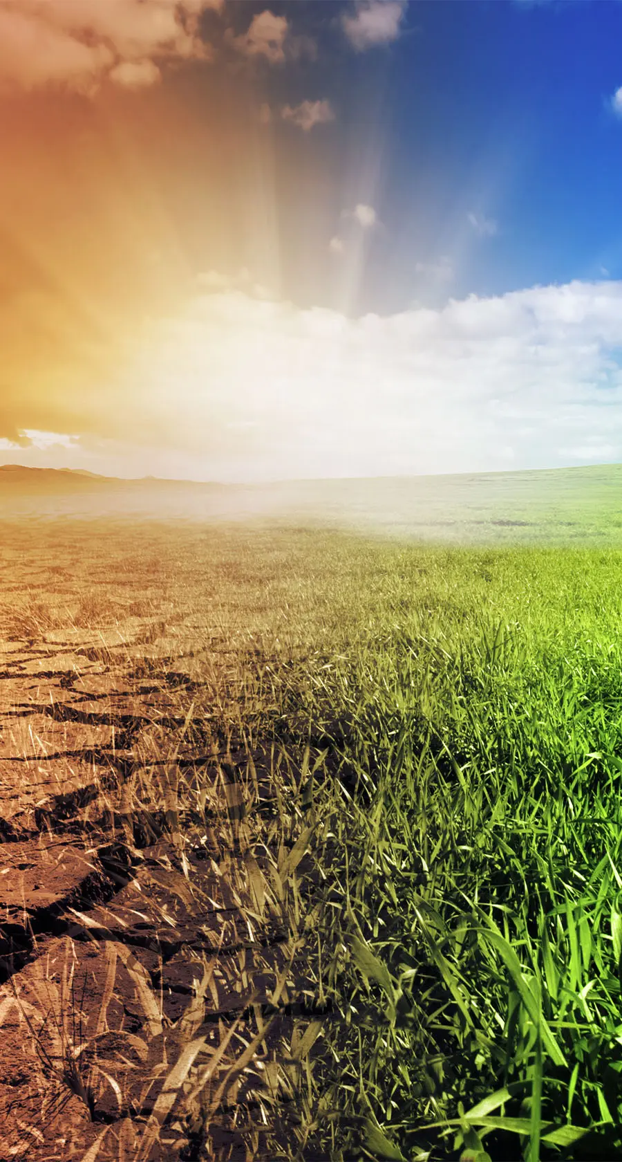 Beyond the Headlines: Essential Insights from Climate Week NYC 2025