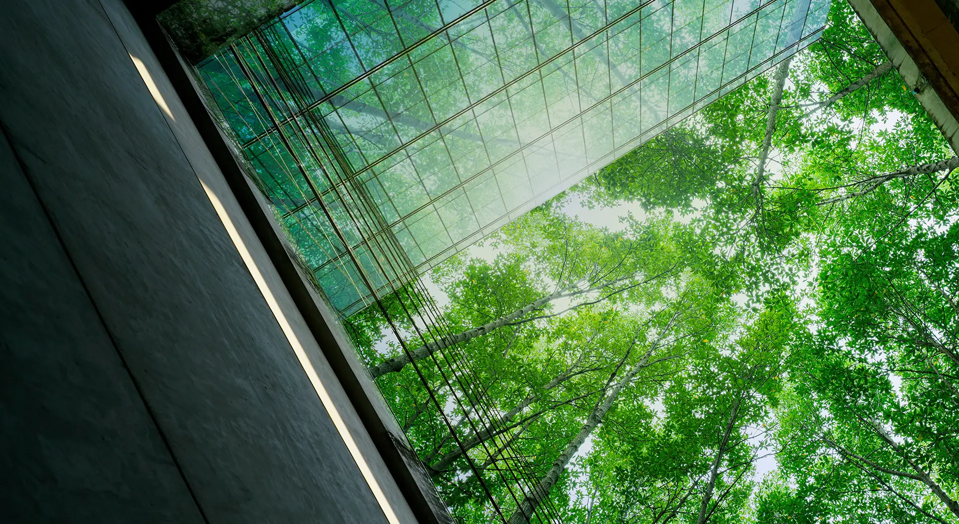 Regulatory Pause, Market Pressure: Staying Aligned with Climate Disclosure Expectations