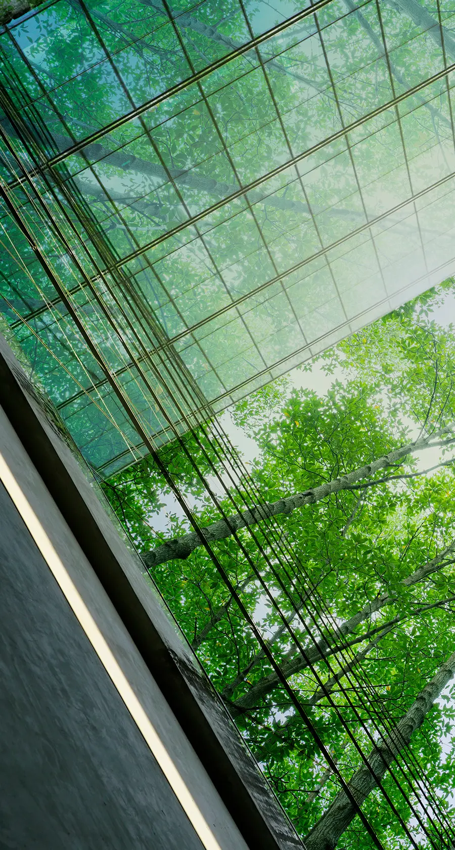 Regulatory Pause, Market Pressure: Staying Aligned with Climate Disclosure Expectations