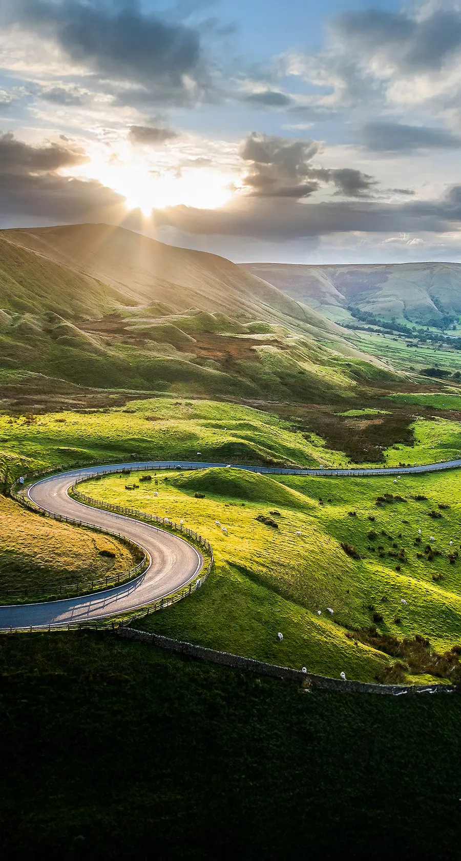 Australia enacts new environmental reforms