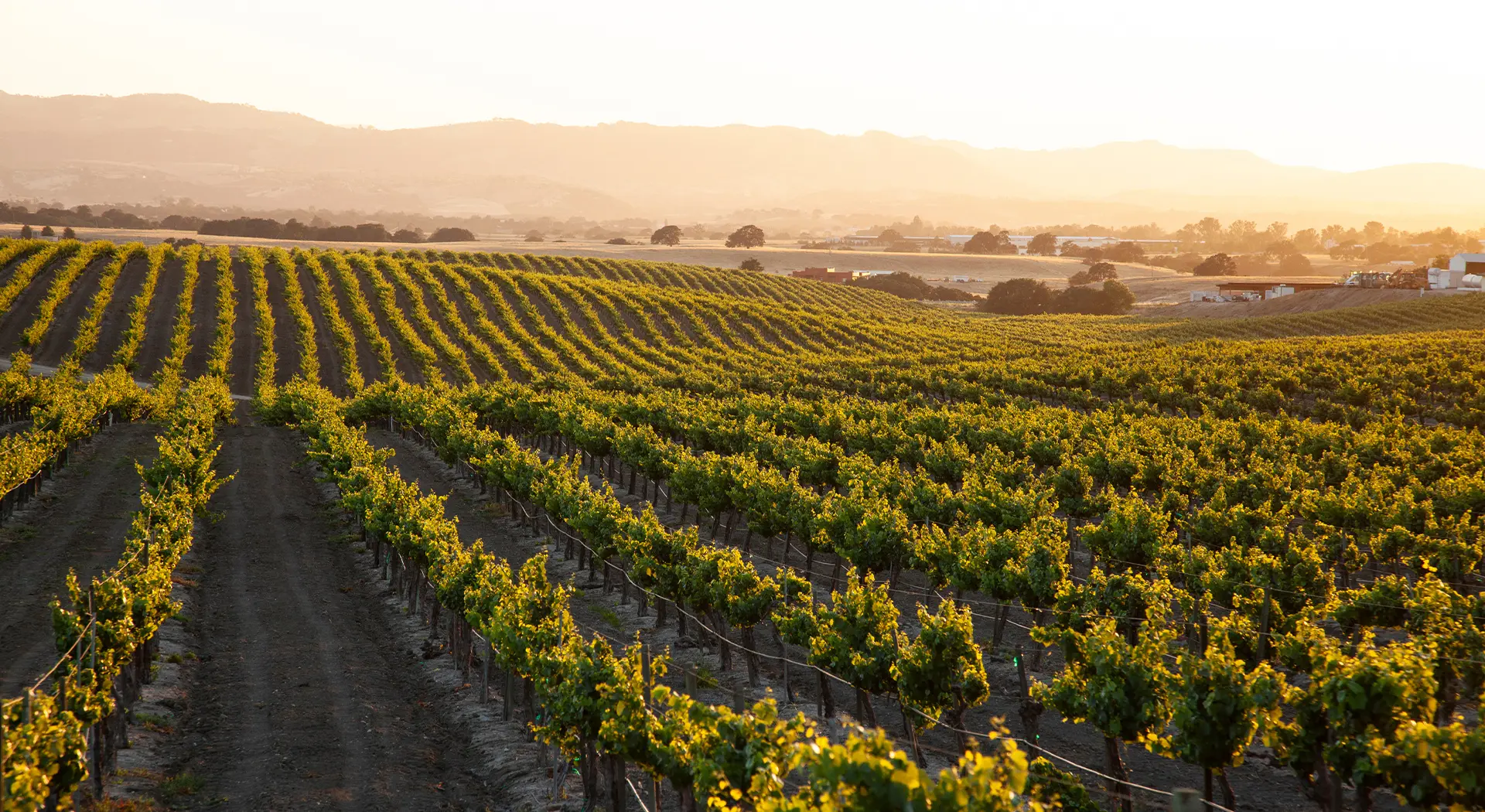 California Advances Climate Disclosure: What Companies Need to Know About SB 253 and SB 261