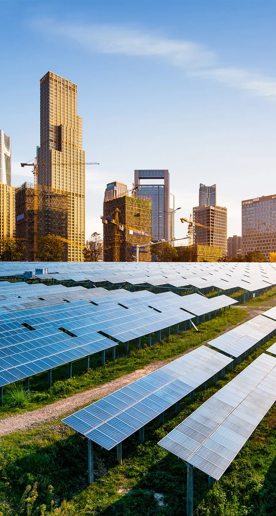 UK SRS and The Future of Sustainability Reporting - Preparing for 2026 and Beyond