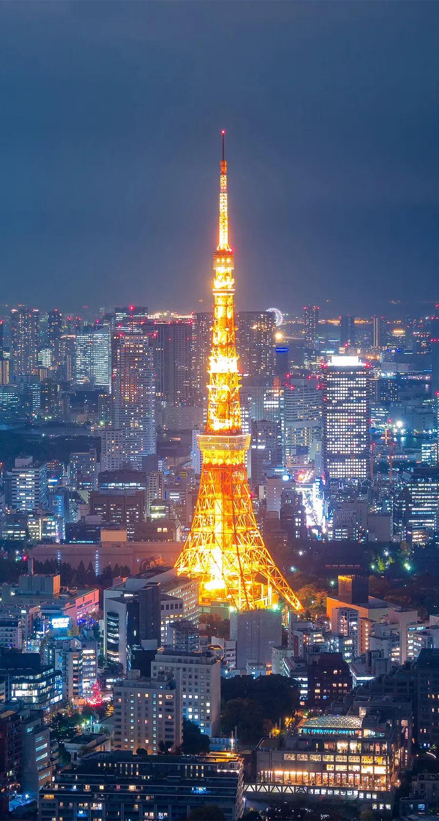 Key Takeaways: Glass Lewis 2026 Benchmark Policy Updates and Shareholder Activism in Japan