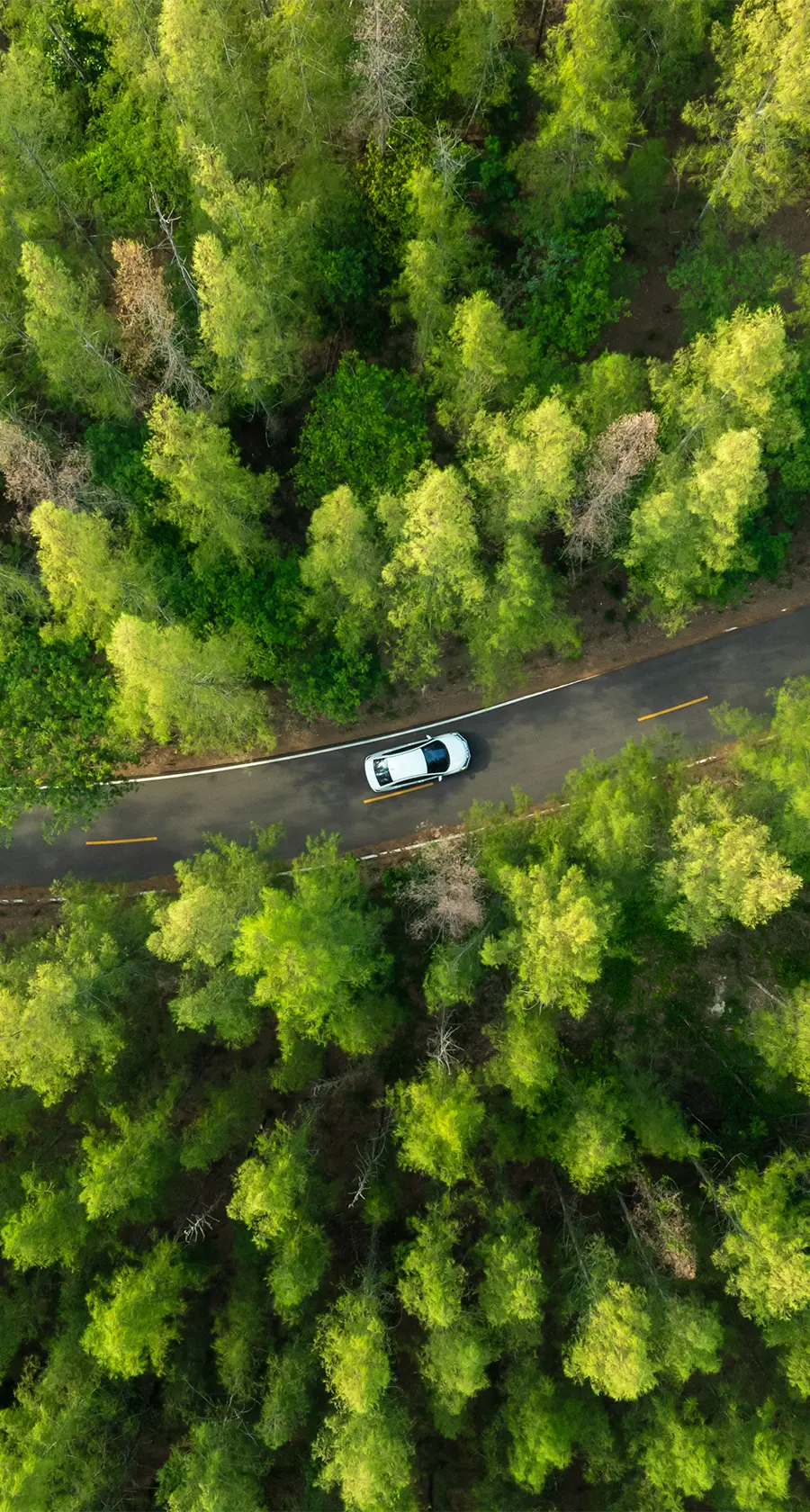 Readiness Before Ratings: A Smarter Approach to EcoVadis