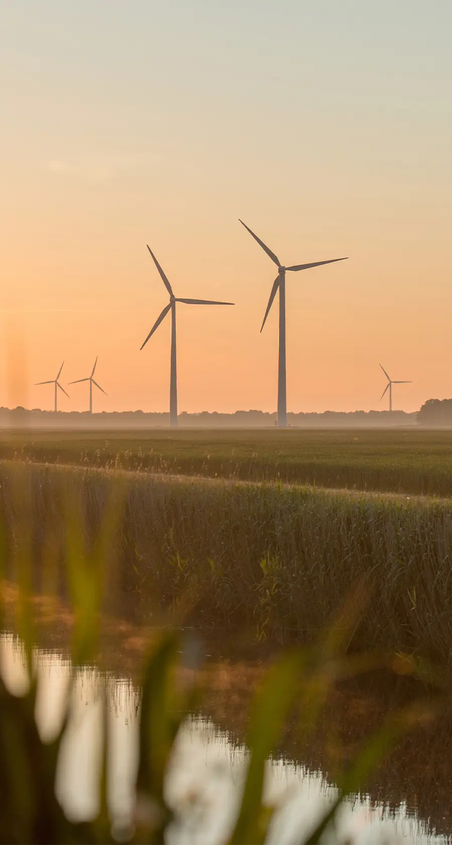 Climate Reporting in Australia: What the 2026–27 Budget Changes Mean for Your Organization