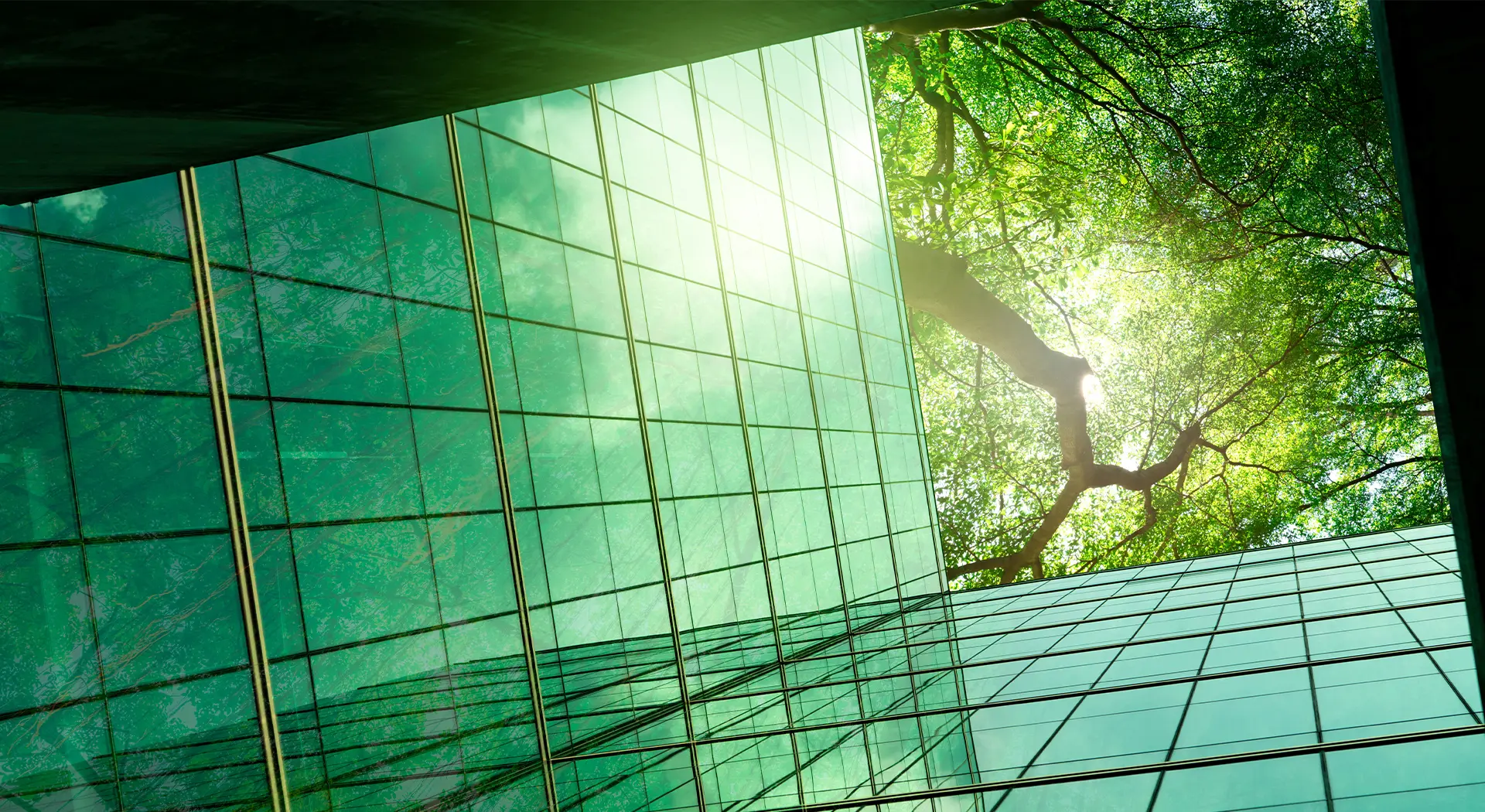 From Disclosure to Discipline: Highlights from Our GRESB Fundamentals Webinar