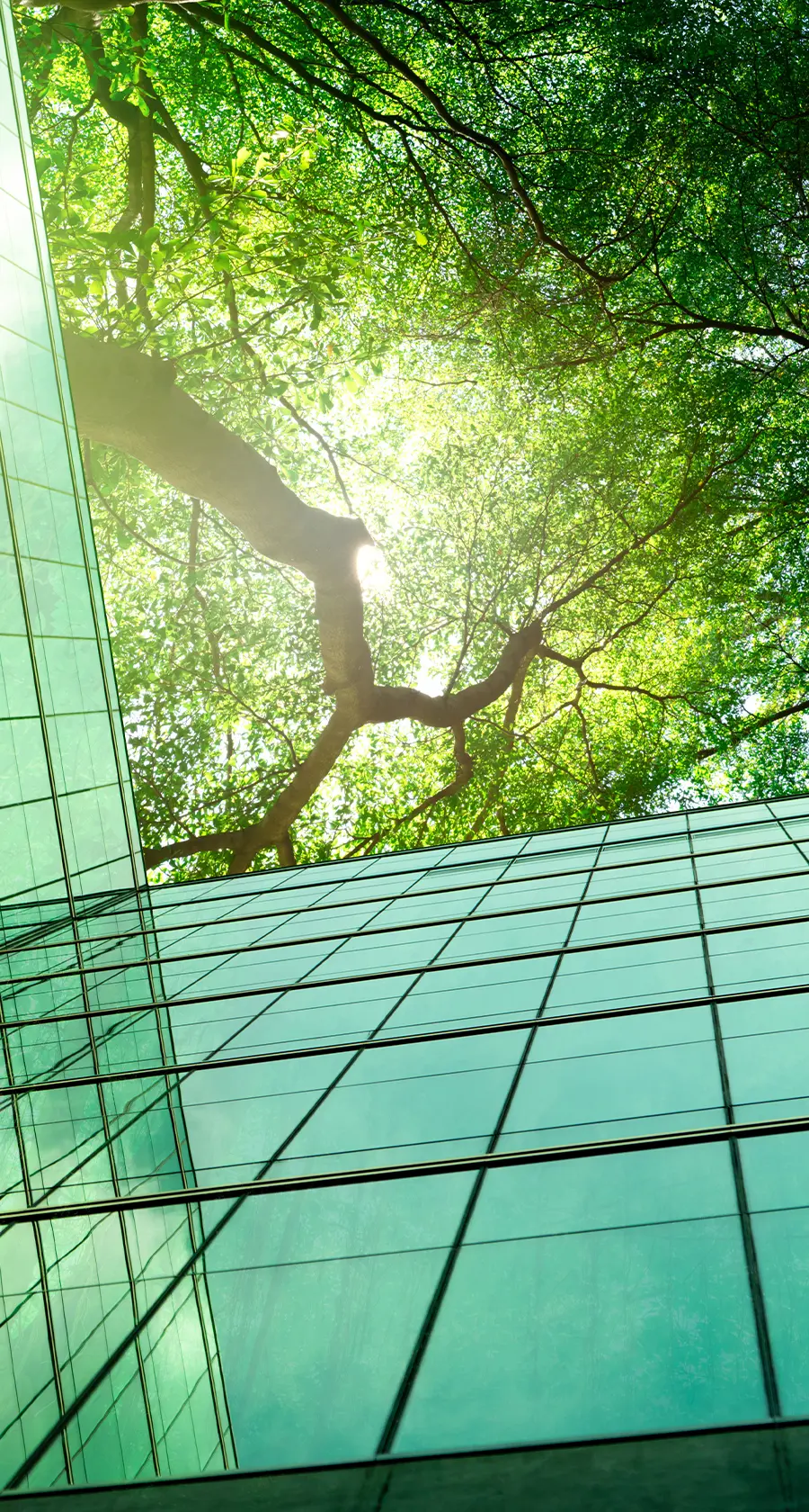 From Disclosure to Discipline: Highlights from Our GRESB Fundamentals Webinar